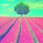 ͷ:ڼҵĵ绰 ԭ ǶôЦĵȴ