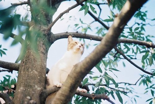 һ仰ļ˵˵