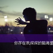 2016°QQͷȫ