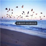 ΢Ψַ羰ͷͼƬ