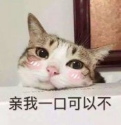 ͨ΢ͷȫ:ע ů