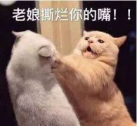 ͨ΢ͷȫ: 