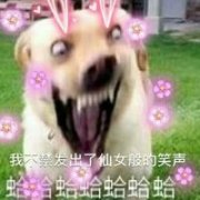 ͨ΢ͷȫ: 
