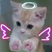 ͨ΢ͷȫ:ı ǰǸ񾭲