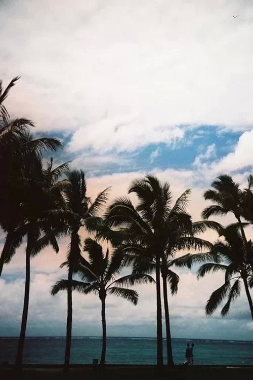 ĸֵ
